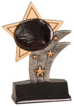 6S2108 Hockey Sport Star Resin Award (Trophy: 5 1/2" Hockey Sport Star)