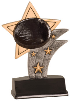 6S2108 Hockey Sport Star Resin Award (Trophy: 5 1/2" Hockey Sport Star)