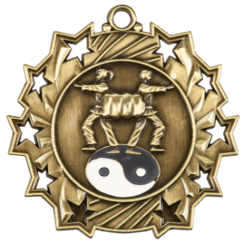 6S4811 MARTIAL ARTS STAR SPORT MEDAL (Medal: 2 1/4" Antique Gold)