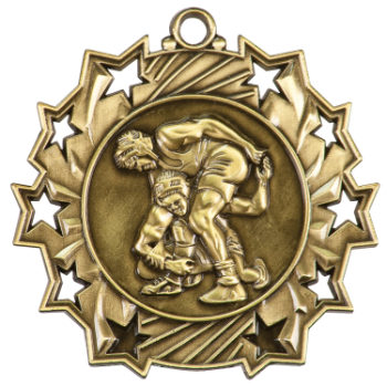 6S4901 WRESTLING TEN STAR SPORT MEDAL (Medal: 2 1/4" Antique Gold)